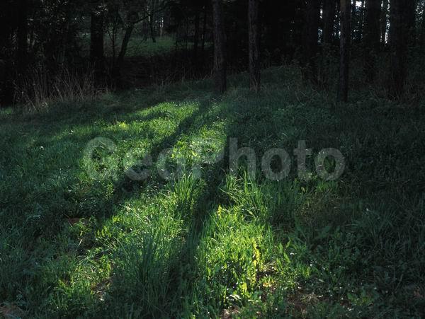 �����, ���, ������