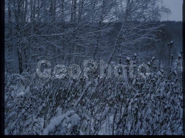 ������, ������� ����, �������, ������������� ������