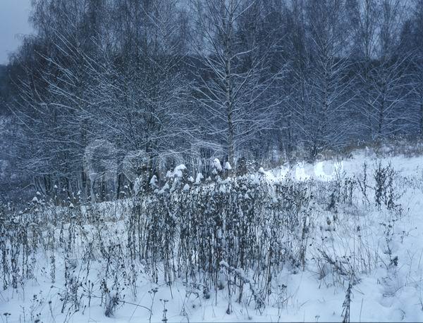 ������, ������� ����, �������, ������������� ������