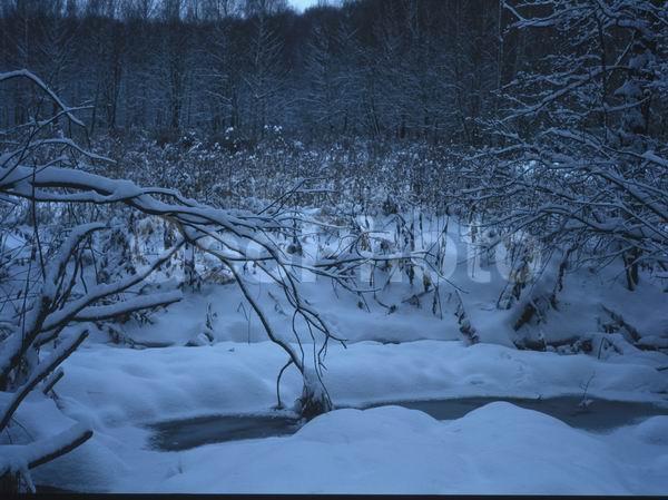 ������, ������� ����, �������, ������������� ������