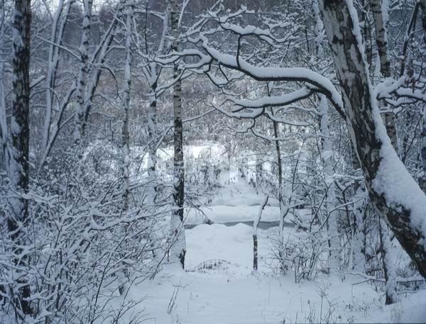 ������, ������� ����, �������, ������������� ������