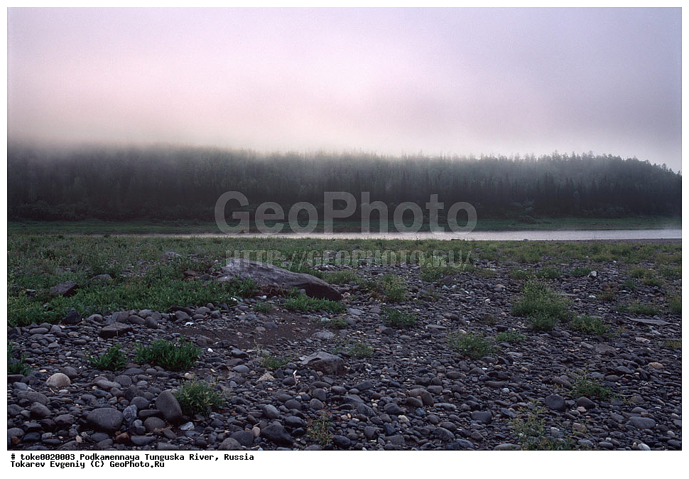 ������������ ����, ����������� ��������, ����, ������, �������, �����, ����