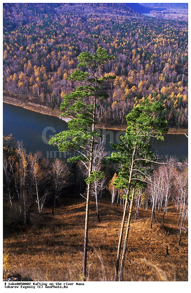 �����, ����, ����, ������, �������, �����, �����