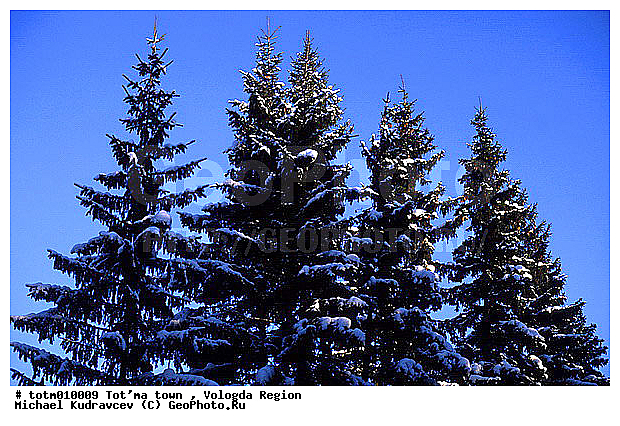 ����������� �������, ������, ������� �����, ������, �����, ����� ������, ������, �������, ���, ���, ����, ����� �����, �����, ��������, �������, �����, ����, �����, ������