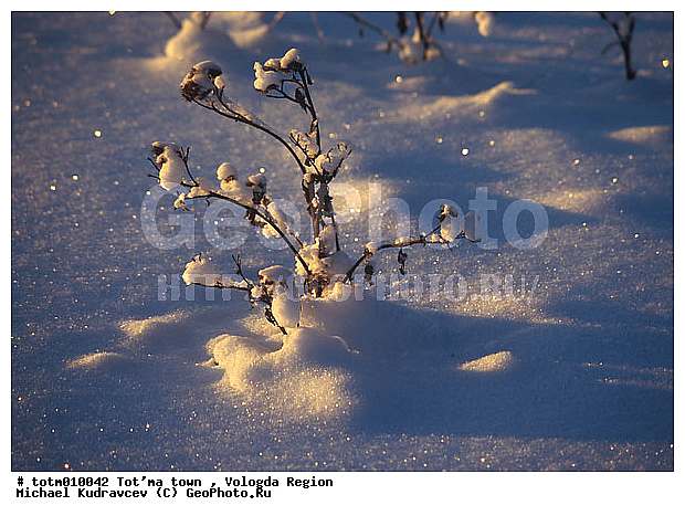 �����, �����, �����������, ����, �����, ��������, ���������, ��������, ����, ����, ������, �����, ������