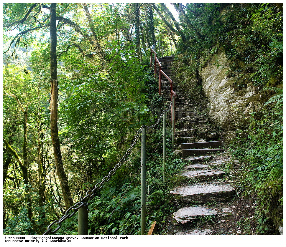 ����-���������� ����, ����, ���������� ������������ ����, ������������ ����, �������, �����, ������� ������, �������,