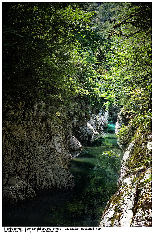 ����-���������� ����, ����, ���������� ������������ ����, ������������ ����, �������, ������, ������� ������, ���� �����,