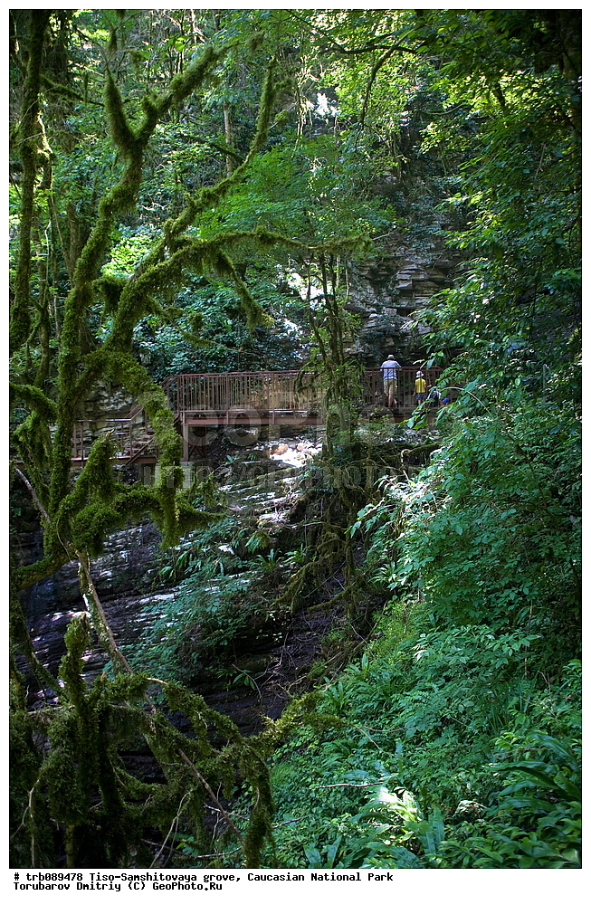 ����-���������� ����, ����, ���������� ������������ ����, ������������ ����, �������, �������������� ���, ������, ����,