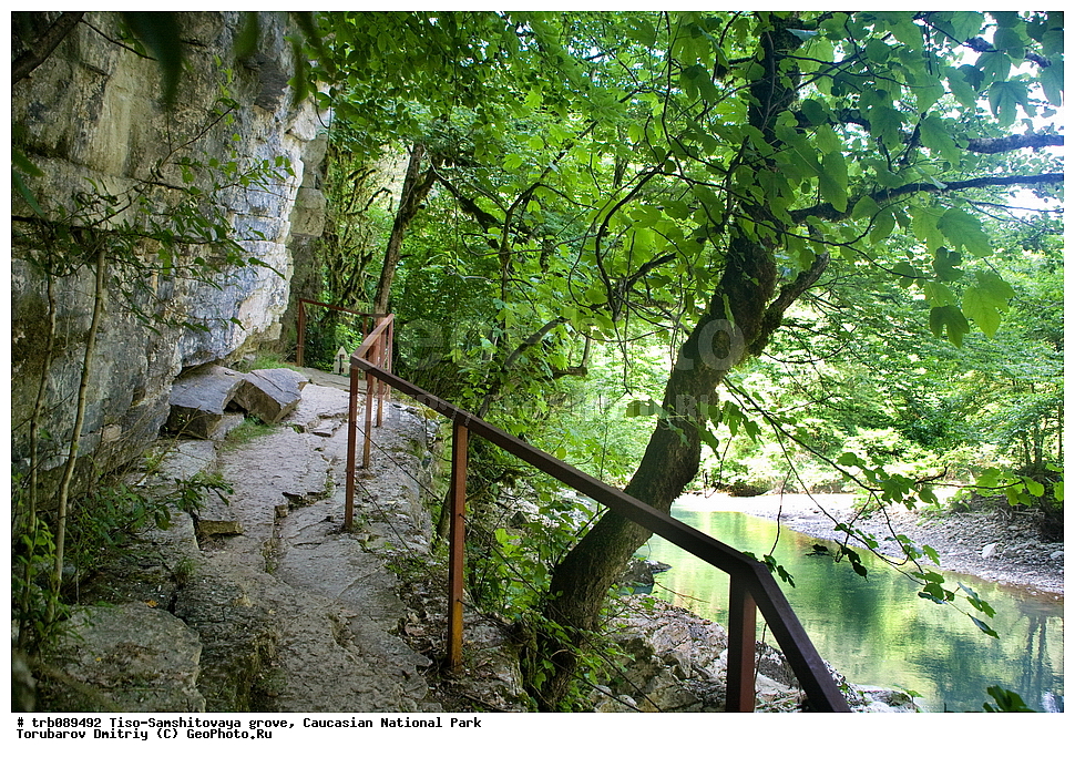 ����-���������� ����, ����, ���������� ������������ ����, ������������ ����, �������, ������� ������, �����, �����, ���� �����,