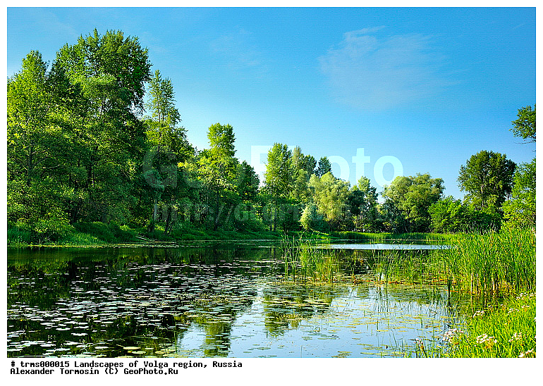 ����, �������, ������, �����, ��������, ���������, ����