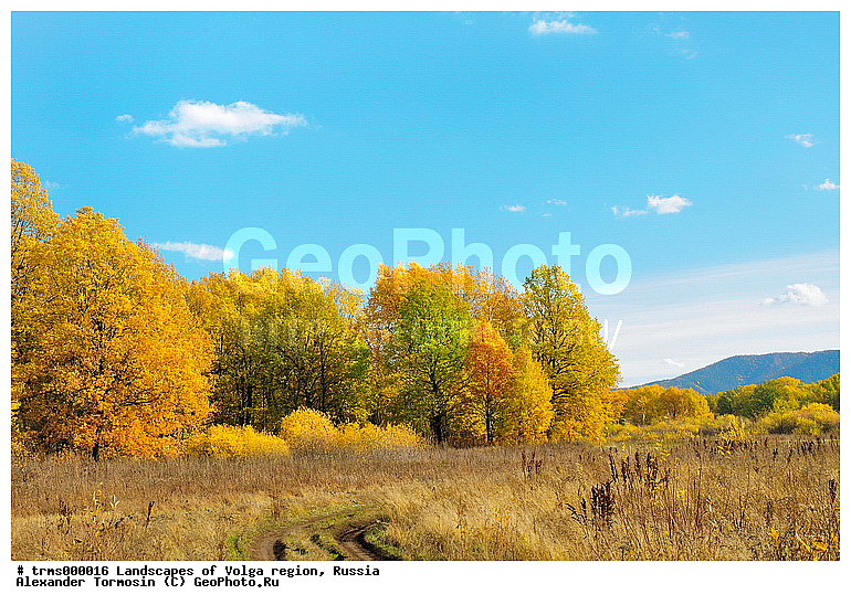 �������, ������, �����, ������, �����, ����