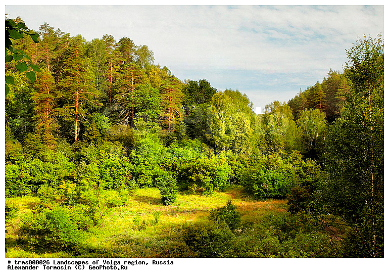 ���, �����, ������, ����