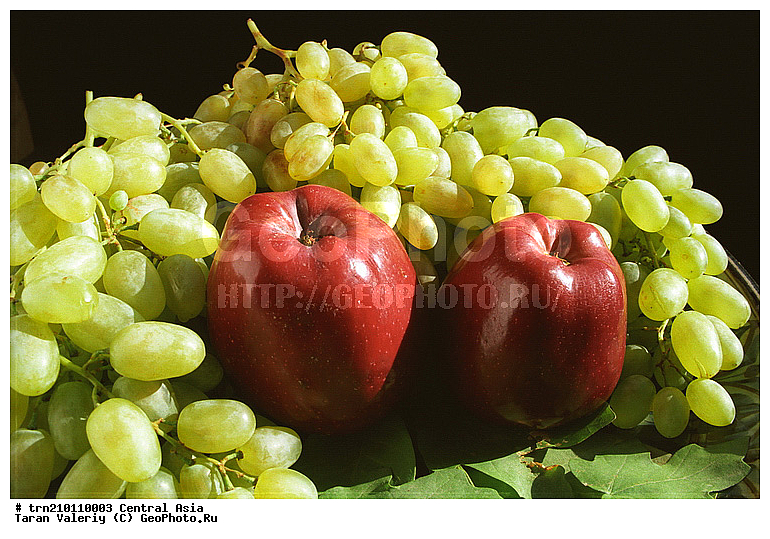 �������, ����������, ��������, ���, ����, ������, ���������, ������, ������, ������