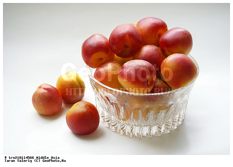 �����, ����������, ��������, �����, ����, ���, ������, ������� ����, ������� ������, ���������, ����, ������������� ����, �������, ��������������, ������