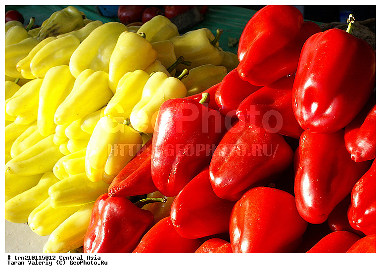 ����������, ���, ������, �������, �����, ����, ������, �������, ���������