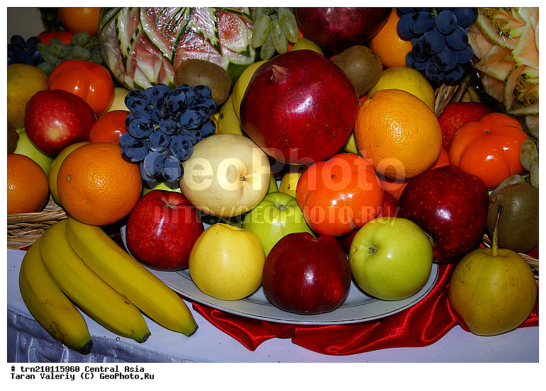 �������, ����������, ����, ������, ��������, ������, ���, ����, ������, ���������, ������, �����, ������