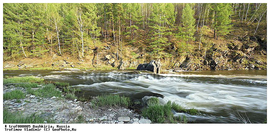 ��������, ������������, �������, ����, ����