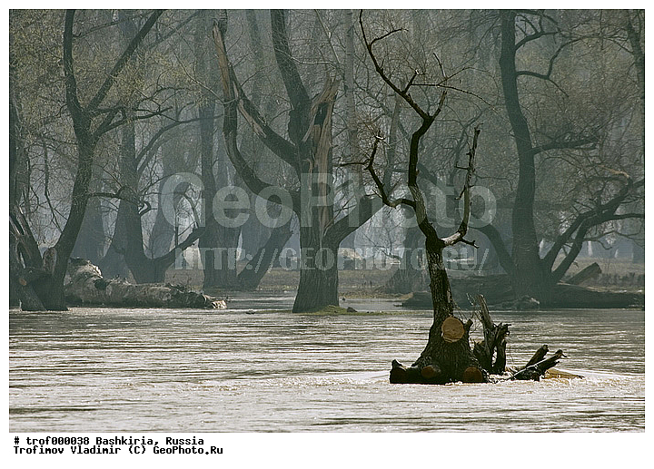 ��������, ������������, �����, ����, ����