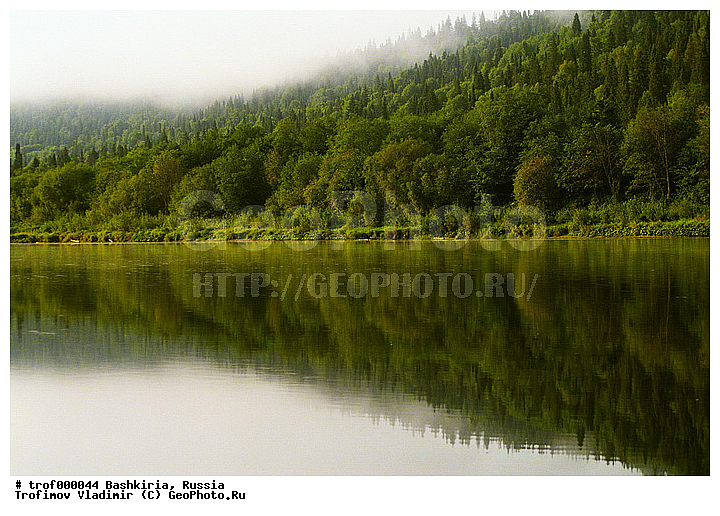 ��������, ������������, ���, ����, ����