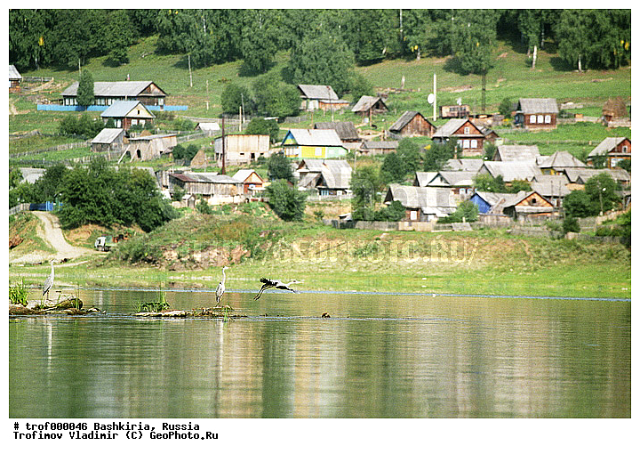 ��������, ������������, ���, ����, ����