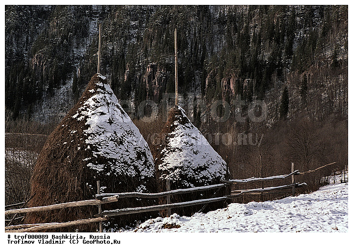 ��������, ������������, �������, �������, �������� �������