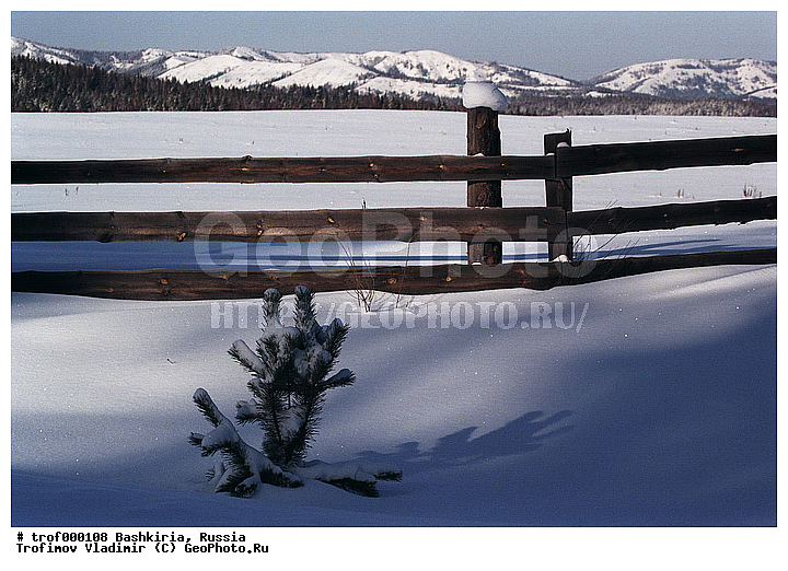 ��������, ������������, �����, ����, ����, ������