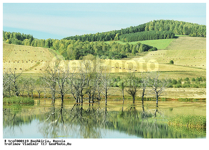 ��������, ������������, ����������, ����, ����