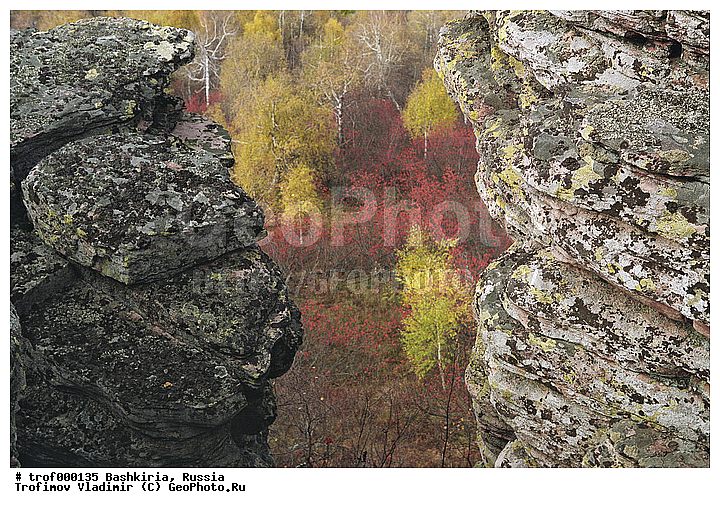 ������, ��������, ������������, ������