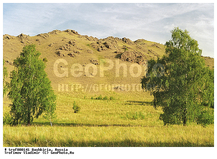 ��������, ������������, ������, ����, ����, ������