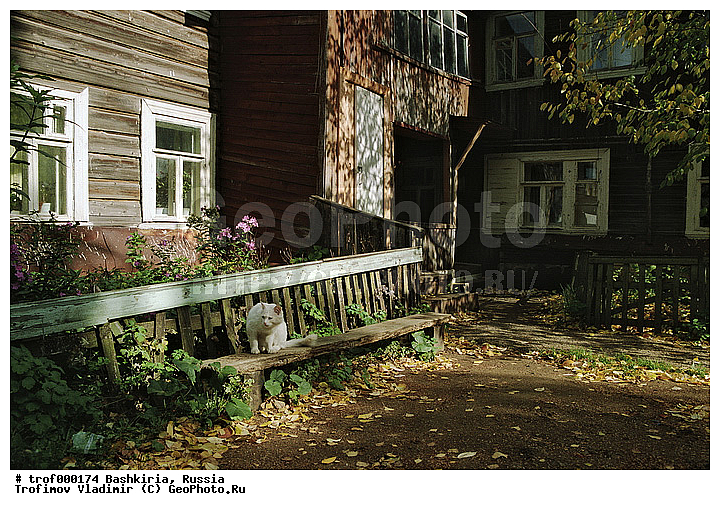 ��������, ������������, ���, ����, �����, ������� ��������, ������� �������������