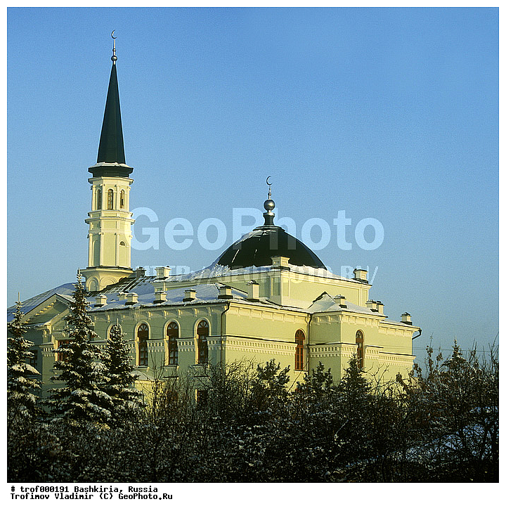 ��������, ������������, ���, ������� ��������, ������� �������������