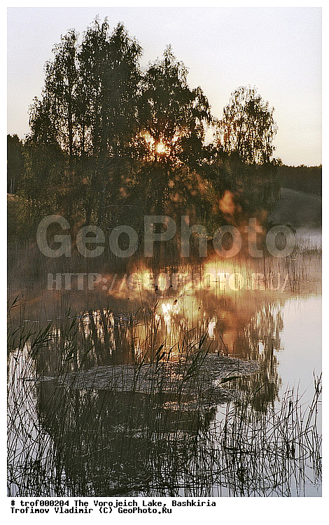 ��������, ������������, ��������, ���������, �����, �����, ����