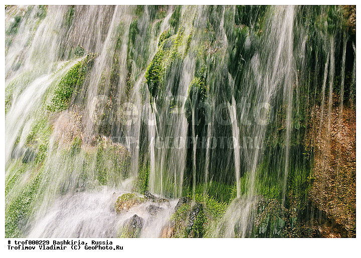 ��������, ������������, �������, �������