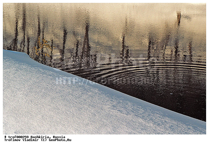 ��������, ������������, �����, ��������