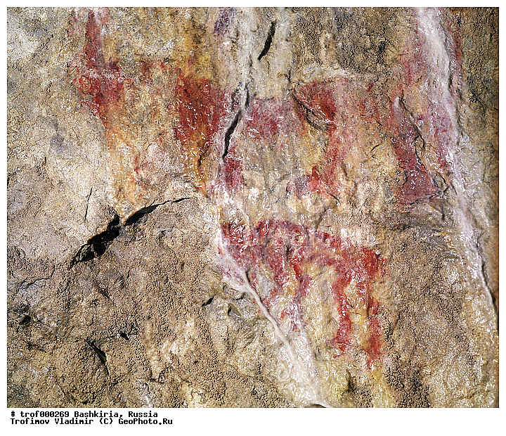 ��������, ������������, �������-���, ������