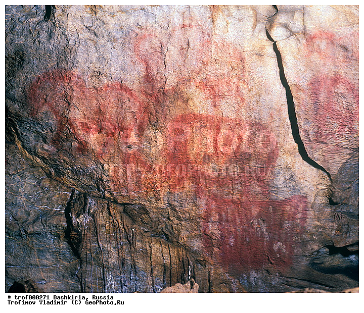 ��������, ������������, �������-���, ������