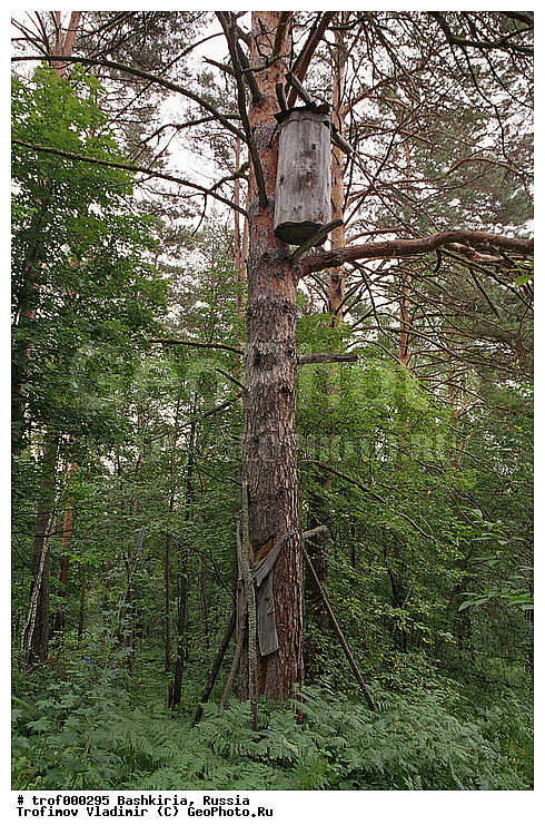 ��������, ������������, ������������, ������������