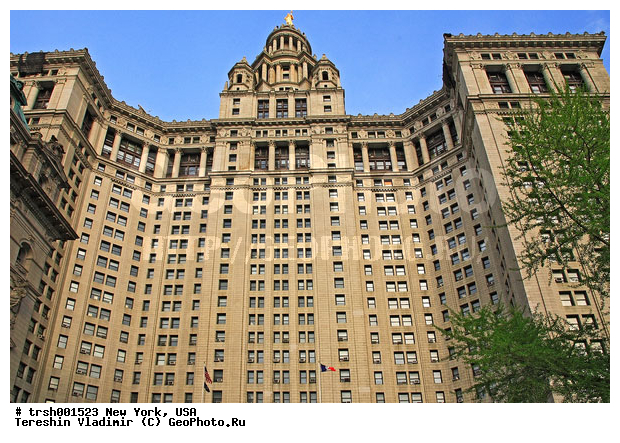 ���������, �������������, ���-����, ���, �����