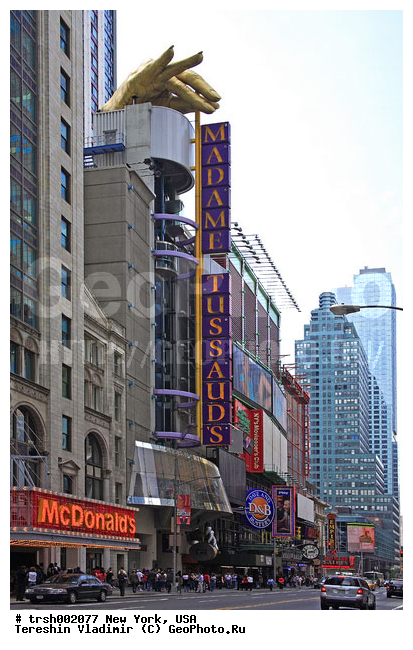 "����� �����", 42 �����, ���������, ����� �������� �����, ���-����, ���, �����