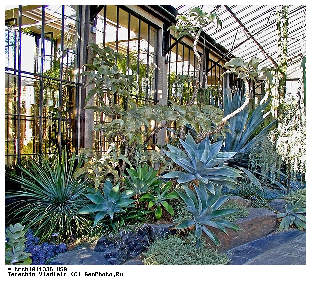 "Longwood Gardens", "����������� ���, ������������, ���", ���������, ���, �������