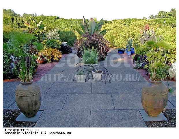 "Longwood Gardens", ������������, ���, ��� ����, ����, ���