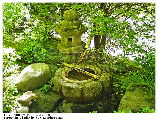 ��������, ���, �������� �����, ���, ���� ������