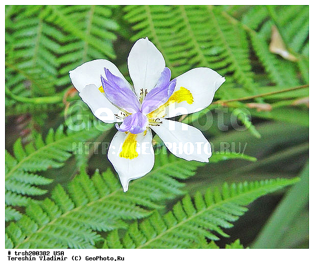 ������������ ���, ������, ���-����, ���, ��� �������, �������� �������, �������, ��������, ������ ��������, ������ �����, ���, ����������� �����, �����, ������������ �����