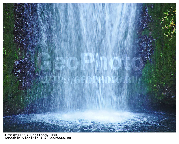 ��������, ������, ���, �������