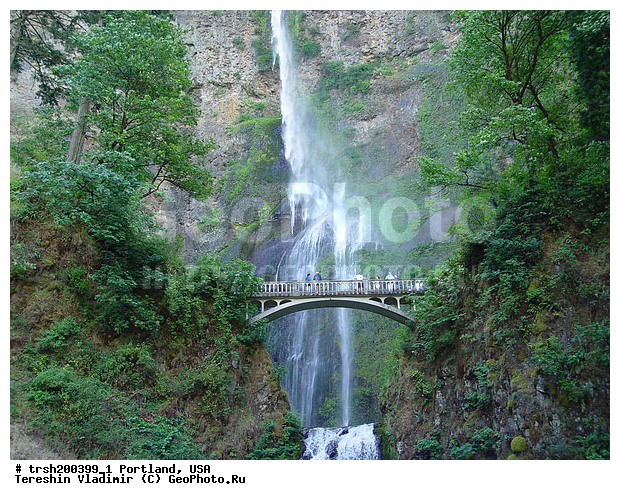 ������� ��������, ��������, ���, �������, ��������� �������, ���� ������