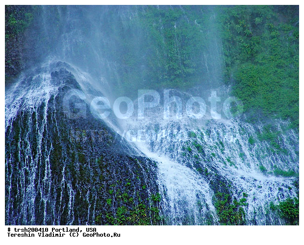 ��������, ���, �������, ������� ��������, ��������� �������, ���� ������