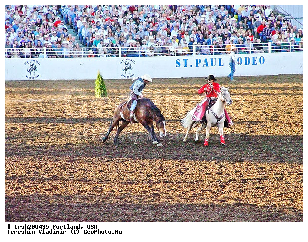 ��������, �����, ���, ���� ������