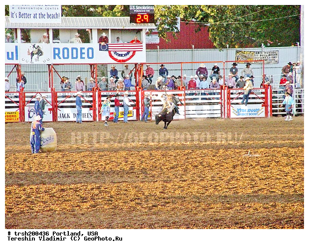 ��������, �����, ���, ������, ���� ������