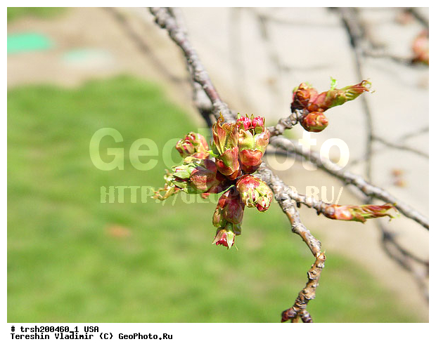 ������, ���-����, �����, ���, ������������ ���, ������ �����, �������� ������, �����