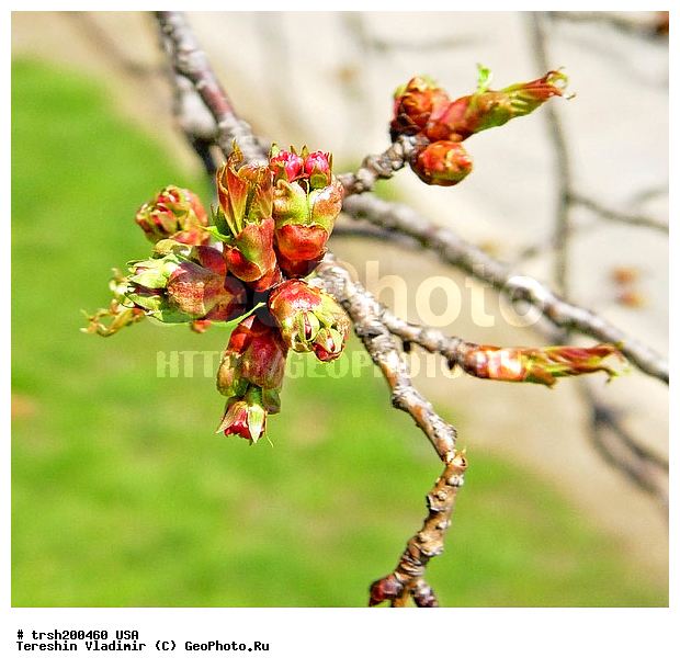 ������, ���-����, �����, ���, ������������ ���, ������ �����, � ������� ������, �����